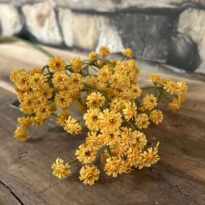 Kunst bloem gipskruid geel