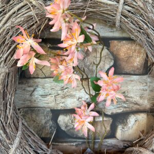 Wilde clematis zacht roze 80cm