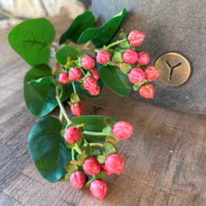 Hypericum Red 68 cm
