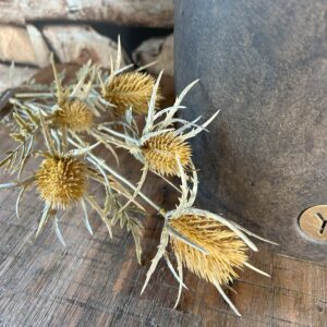 Thistle Spray Light Yellow 72 cm