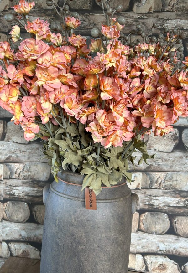 Delphinium Copper 75 cm - Afbeelding 2