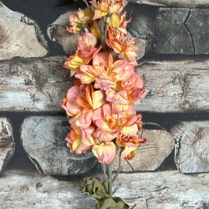 Delphinium Copper 75 cm