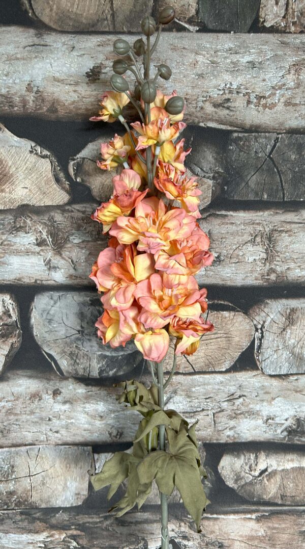 Delphinium Copper 75 cm