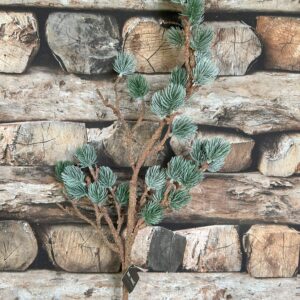 Larix Stem Grey Green 80cm