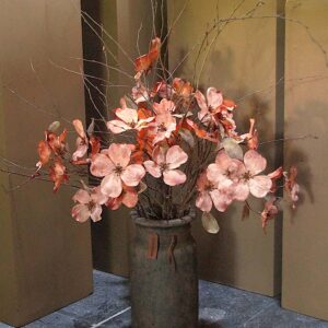 Cornus Kousa Ant. Copper 75cm