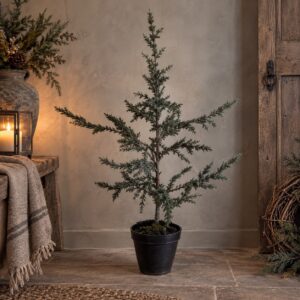 Tree Ceder Grey H80CM