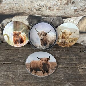 Set van 4 glazen onderzetters hooglander