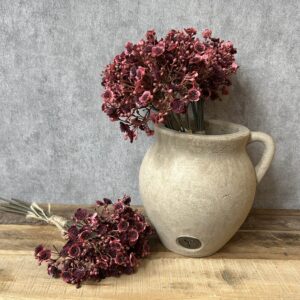 Bundel Gypsophilia Bordeau