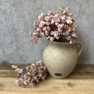 Bundel Gypsopila antiek roze