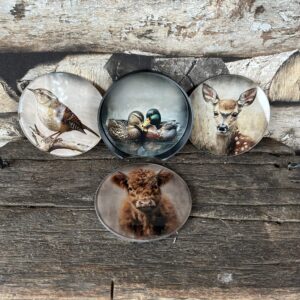 Set van 4  glazen onderzetters dieren