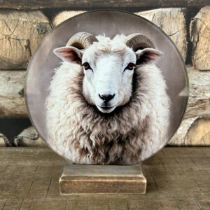 Glasplaat met houder schaap