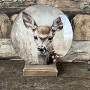 Glasplaat met houder hertje