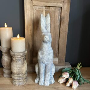 Haas vooruit kijkend