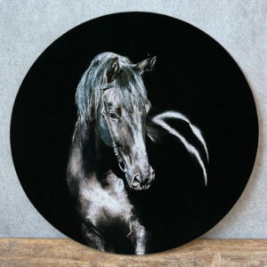 Glasplaat paard Ø30cm