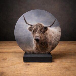 Glasplaat met houder hooglander