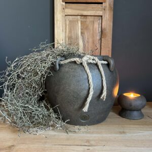 Hanging Tillandsia Brown 120cm