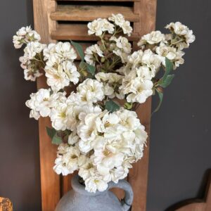 Prunus Sakura White 81cm