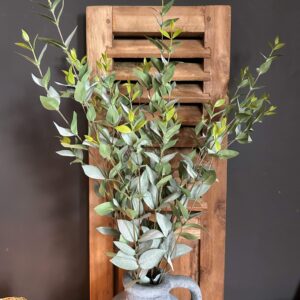 Ligustrum Green/Grey 100cm