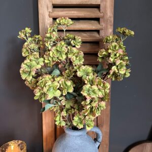 Prunus Sakura Green 81cm