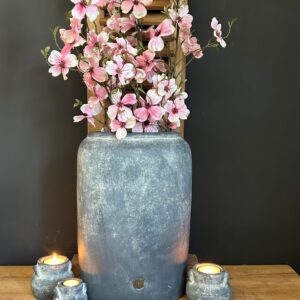 Cornus Excellent Grande Pink 110cm