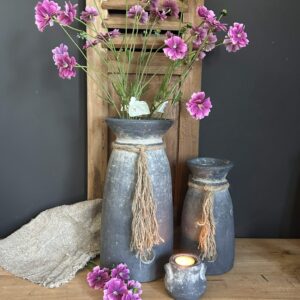 Dianthus Spring Roze 65cm