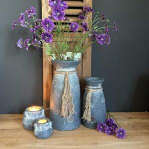 Dianthus Spring Purple 65cm