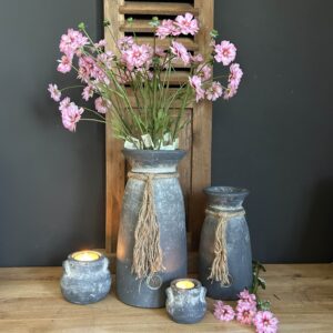 Dianthus Spring l. Pink 65 cm