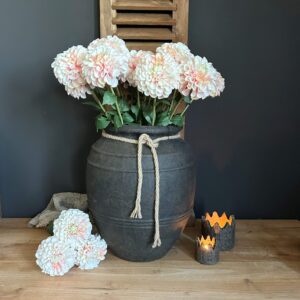 Dahlia Bundle Crème