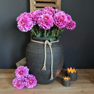 Dahlia Bundle Pink 56cm