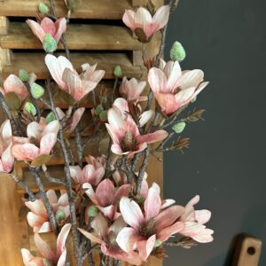 Magnolia Pink 92cm