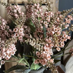 Pieris Spring Sober Pink 55cm