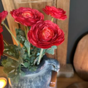Ranunculus Spring Red 42cm