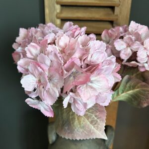 Hydrangea Sober Pink 65cm