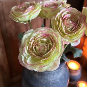 Ranunculus Spring Green/Pink 42cm