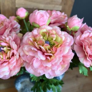 German Ranunculus Peach 54cm