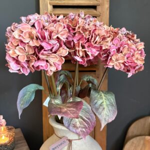 Hydrangea Pink 70cm