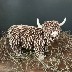 Bizon Dorkas M Bruin