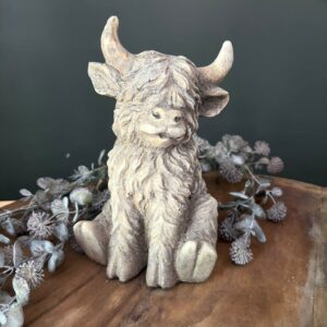 Schotse Hooglander Zittend Yuki M