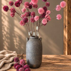 Chrysanthemum Autumn Grande