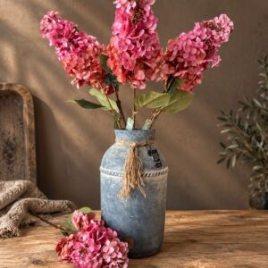 Hydrangea Paniculata Ant. Pink